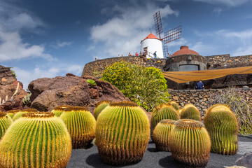Lanzarote, Spain, 19 March 2022 : The Cactus Garden, called 
