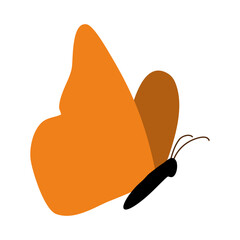 cute flying butterfly