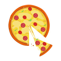 vector illustration of a pizza on white
