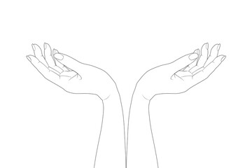 hand gestures linear drawing Two hands holding up something precious front