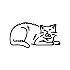 A sick cat hisses and bites color line icon. Symptom of the disease.