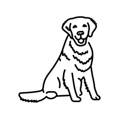 Dog sitting color line icon. Pictogram for web page