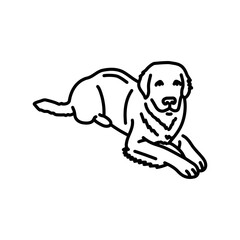 Dog is bad feeling color line icon. First Symptom of the disease.