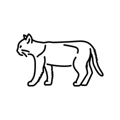 The cat stands in profile color line icon. Pictogram for web page