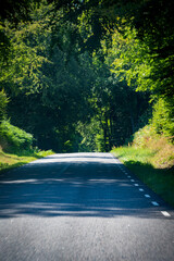 Rural country road through lush green forest on summer day in Skåne (Scania) Sweden