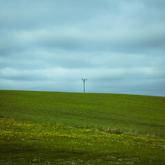 Fototapeta na wymiar Single power line in green hill fields in Skåne (Scania) Sweedn