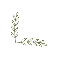 botanical frame corner border