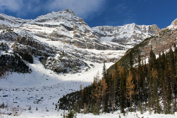 Fototapeta na wymiar Snowy mountain forest landscape