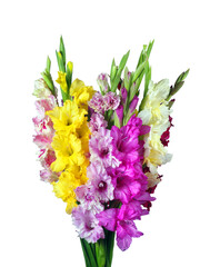 Colorful bouquet of gladiolus isolated on white.  - obrazy, fototapety, plakaty
