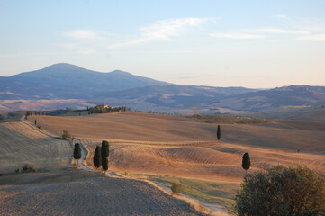 Obraz premium hilly landscape in Tuscany, Italy (place of the gladiator film)