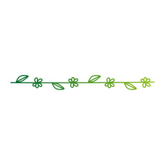 botanical text divider frame border