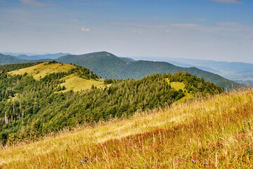 Panorama of mountain ridges silhouettes. Carpathians, Ukraine. Summer mountain landscape.