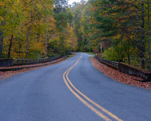 Road in Autumn