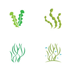 seaweed logo design with vector illustration template