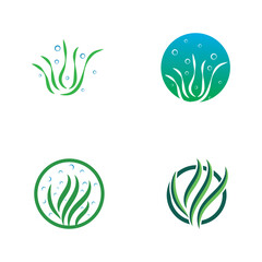 seaweed logo design with vector illustration template