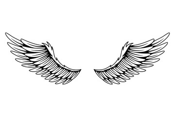 Vintage heraldic wings sketch. Monochrome stylized birds wings. Hand drawn contoured stiker wing in open position. Design elements in coloring style