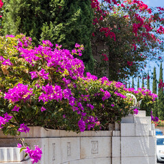 Haifa, Israel, July 12, 2022 : The decorative metal gate at the entrance to the middle terrace of the Bahai Garden, located on Mount Carmel in the city of Haifa, in northern Israel