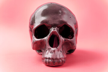Halloween holiday concept. Scary skull on red background. Selective focus