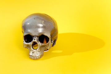 Halloween holiday concept. Scary skull on yellow background. Selective focus. Copy space