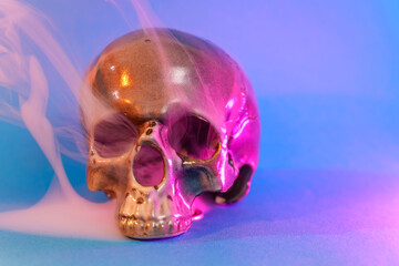 Human skull. Human remains. Skull in the smoke. Danger of death. Halloween holiday concept.