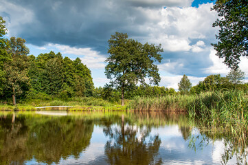 summer landscape, lake view on a sunny day