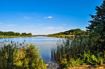 Fototapeta na wymiar summer landscape, lake view on a sunny day