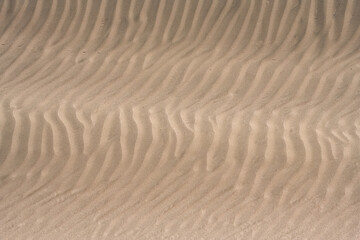Namibia, lines of grains of sand of the dunes, background
