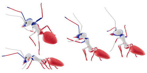 concept work, team of ants