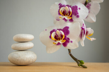 Stack of bright white stones built in tower isolated on white background with white purple orchid flower on long stem