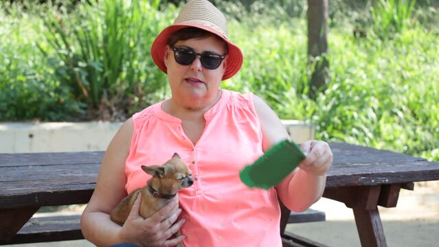 adult woman with chihuahua cools off with hat sitting at a park table on a hot summer day, concept heat wave, climate change