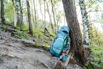 A blue backpack is leaned against a tree, a hiking trip with a bowl through the forest, an...