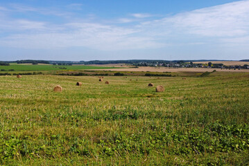Fototapeta premium Aerial view of agro fields with harvesting and haystacks
