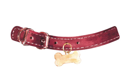 Watercolor red leather dog,animal collar ,bone tag illustration, Hipster funny clothes accessories, leash, lead, costume, character creator decor fashion element isolated. Cute drawing clipart 