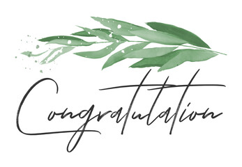 Congratulation Hand Lettering with watercolor leaves. Typography Design Inspiration. Black colored. On a white background. Vector