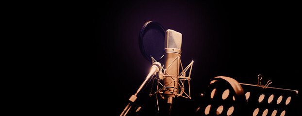 Professional microphone and anti vibration on mic stand. Microphone in sound studio production....