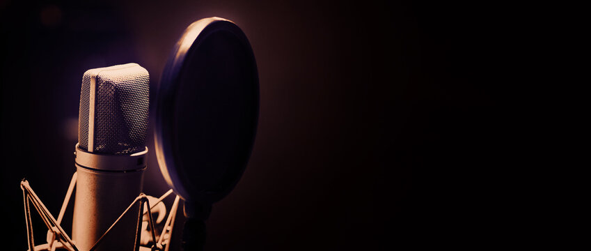 Professional microphone and anti vibration on mic stand. Microphone in sound studio production. Close up microphone and Shock mount pop filter at studio. Condenser mic against dark and copy space.