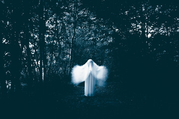 Ghost in the woods at night