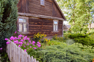 Rustic garden with blooming flowers in traditional old fashioned village with wooden house and...