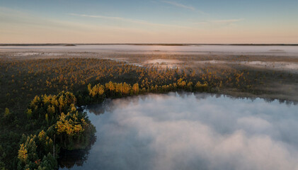 Aerial view over wilderness area with bog wetland and fog clad lake with the dawn colored sky background