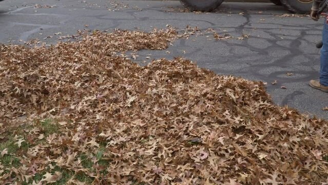 Fallen leaves near houses are being cleaned by a municipal worker uzing blower in the autumn.