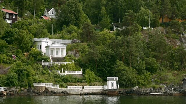 View from the lake on green bushes and trees and a building inside. Stock footage. Summer countryside landscape with houses and green vegetation.