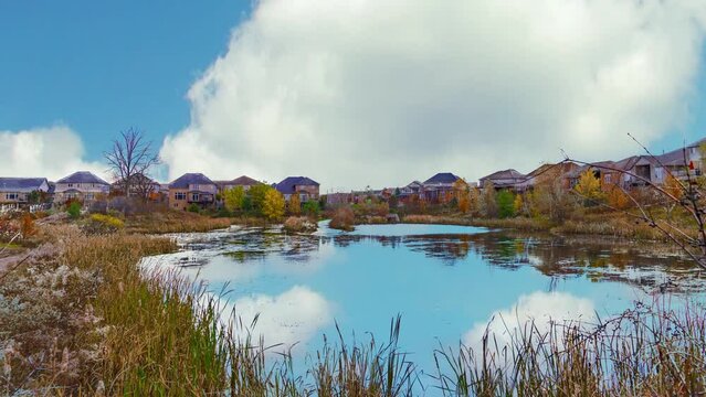 Autumn pond in a residential area on a fine