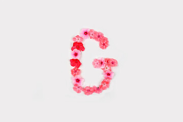 A letter G made from real fresh flowers. Creative floral font concept. Unique collection of letters and numbers for design. Spring, summer, autumn and valentines, creative idea
