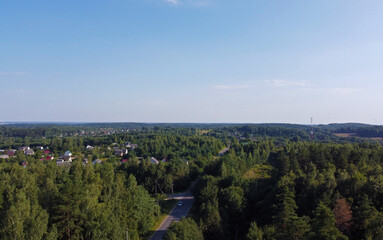 Aerial view of the green summer forest with trees