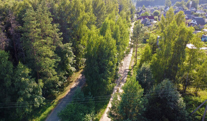 Aerial view of the green summer forest with trees