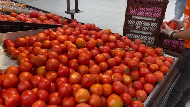 Tomatoes In Grocery Store Super Market - Wide Shot