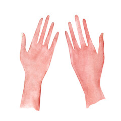 Colored watercolor drawing of female hands. hand drawn illustration