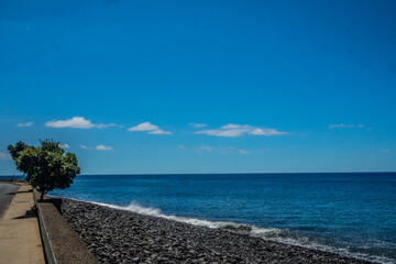 Fototapeta premium Madeira - Madalena do Mar