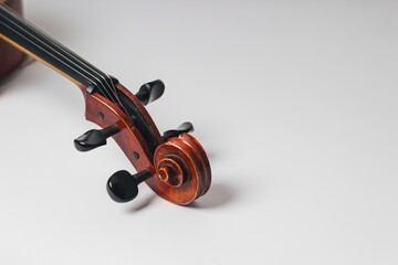 Fototapeta na wymiar Photo for the Cello (Strings)