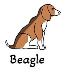paint illustration of beagle dog